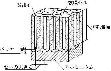 A}Cg疌̍\